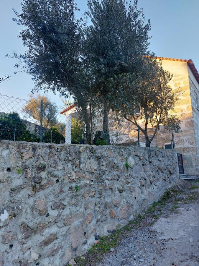 Casa Das Cortes - Serra Da Estrela Apartment Gouveia  Exterior photo